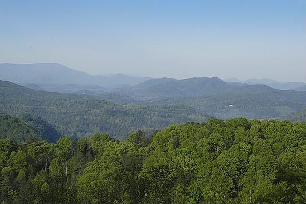 Veiw from the deck
