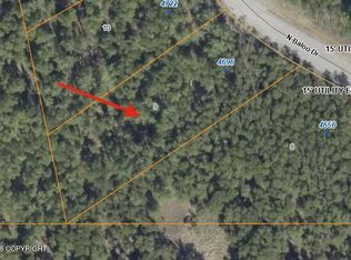 4696 N Baloo Dr, Wasilla, AK 99654