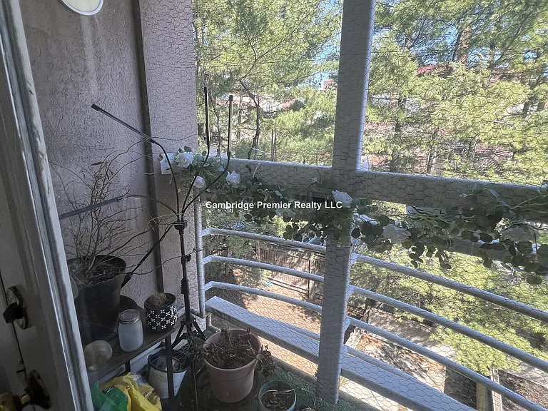 434 Franklin St #2 — Photo 22
