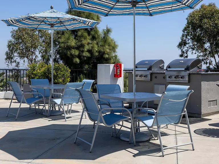 Outdoor Lounge with Grilling Area