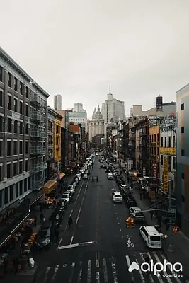 Rented by Alpha Properties NYC I LLC | media 11