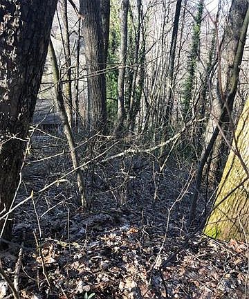 3rd image of 209 Overlook Dr