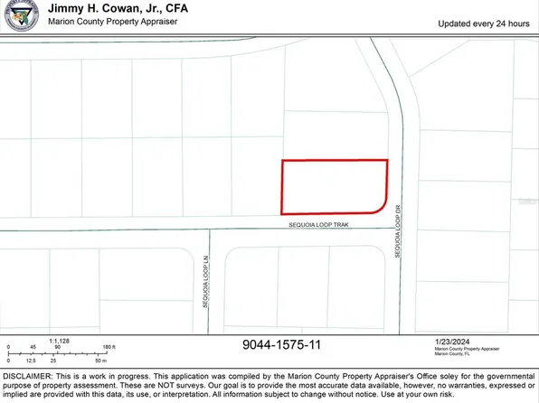 00 SEQUOIA LOOP DRIVE LOT 11, OCKLAWAHA, FL 32179