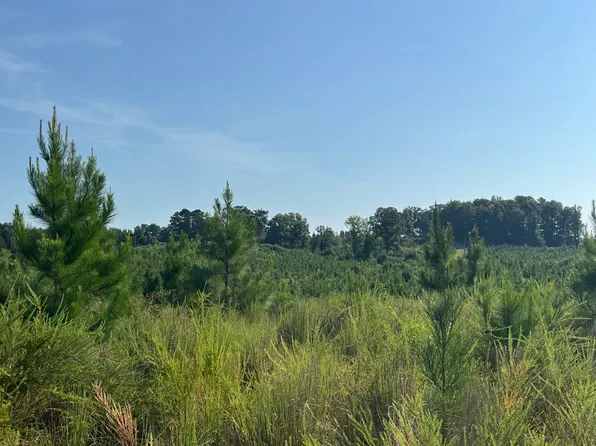 0 Highway 17, Reform, AL 35481
