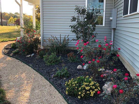 Front sidewalk landscaping