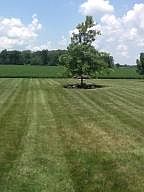 4th image of 4865 N Houston Pike