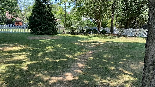 1318 Olive St — Photo 3