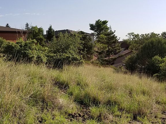 2nd image of 752 Sunrise Blvd