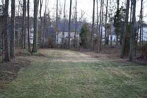 Huge Yard, Theres More...