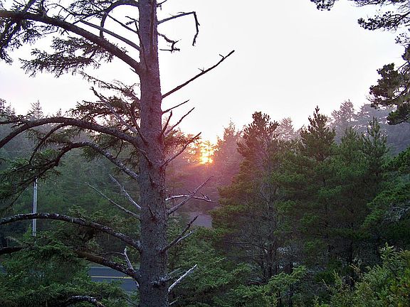 view from front deck