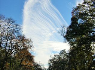 115 Brannen Lndg, Midville, GA 30441