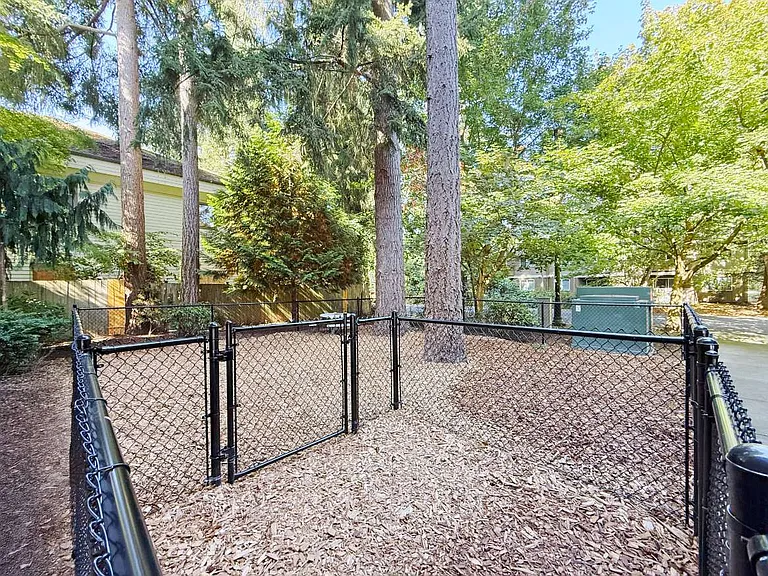 Dog Park