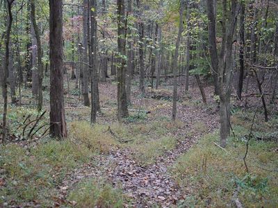 401 Moxley Rd, Fordsville, KY, 42343