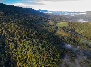 0 Robertson Mountain Rd, Narrows, VA 24124