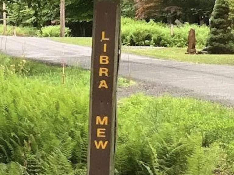 7 Libra Mew — Photo 31