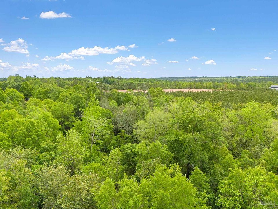 2nd image of 1 Mineral Springs Rd