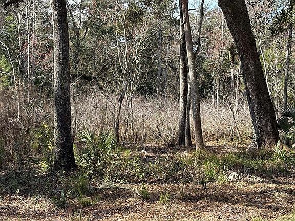 3rd image of LAKE LINDSEY ROAD