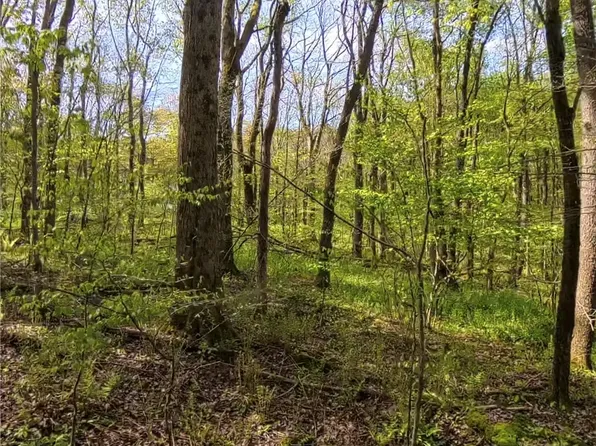 LOT Fern Mountain Rd #F, Somerset, PA 15501