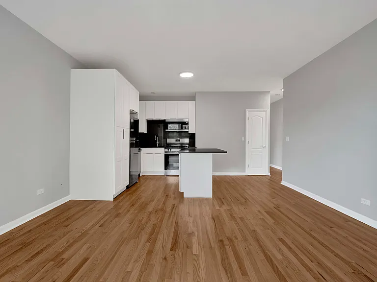 2456 N Hamlin Ave #2S — Photo 7