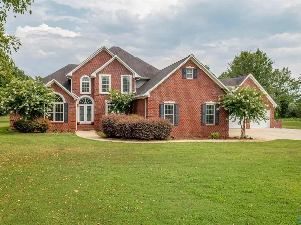 4395 Skyview Dr, Southside, AL 35907