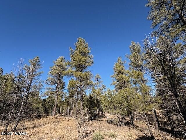 1st image of 3211 W Black Oak Loop