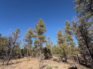 3211 W Black Oak Loop, Show Low, AZ 85901
