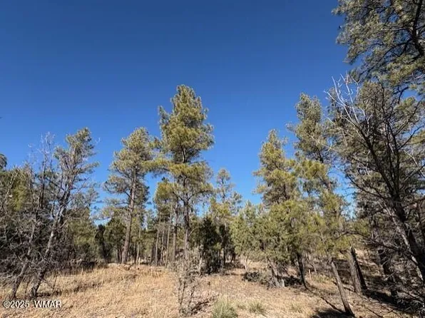 3211 W Black Oak Loop, Show Low, AZ 85901