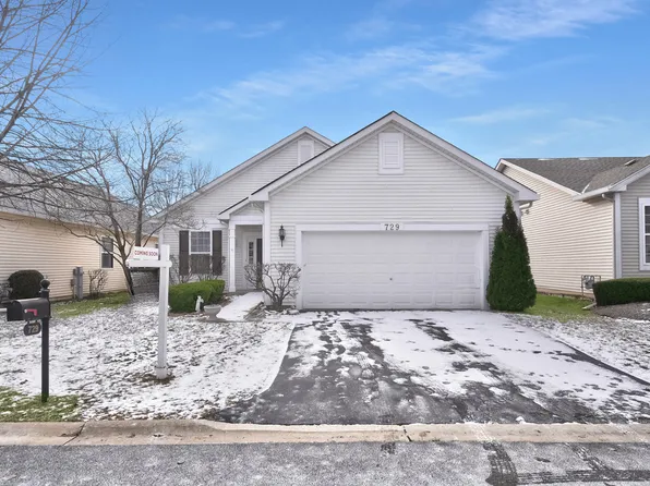 729 S Mecosta Ln, Romeoville, IL 60446