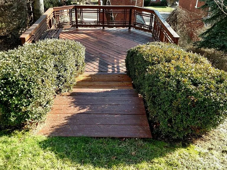 Back deck