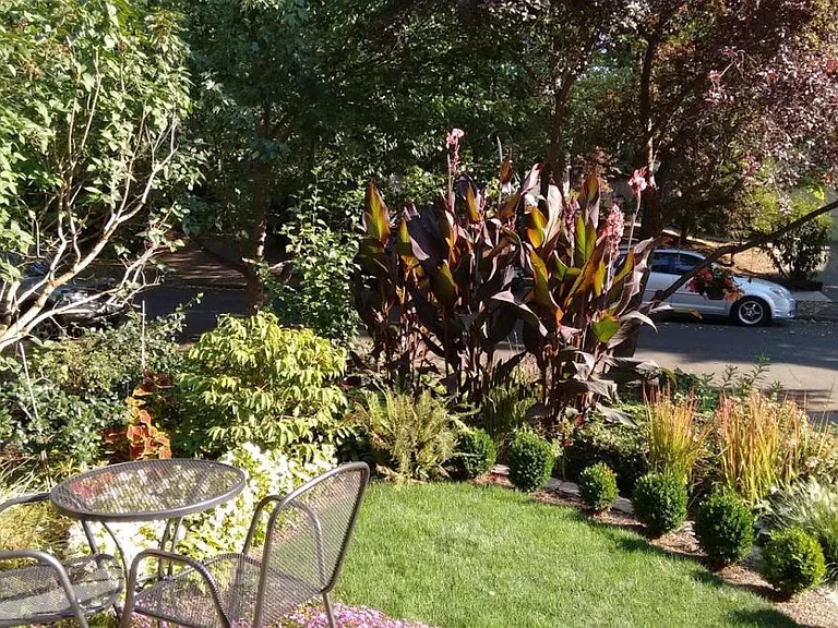 Front Patio and Garden