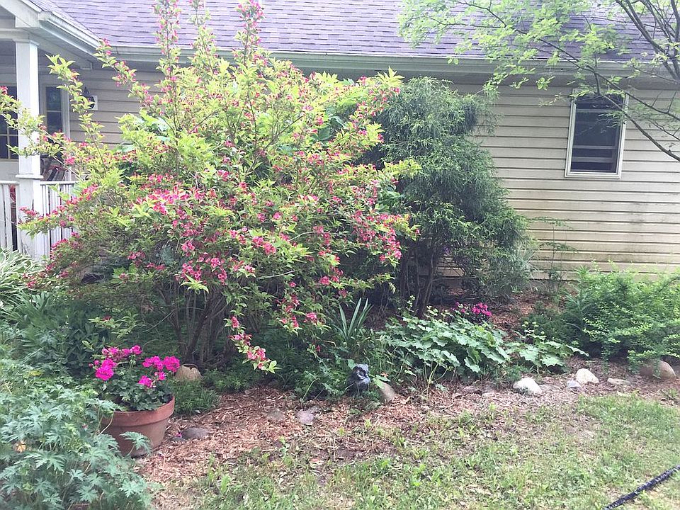2nd image of 11301 W Dickerson Lake Rd