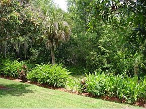 2nd image of 4909 Wild Grape Way