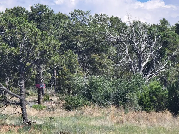 570 Fr #462, Tijeras, NM 87059