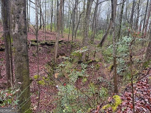 5th image of 1791 McRee Gin Rd