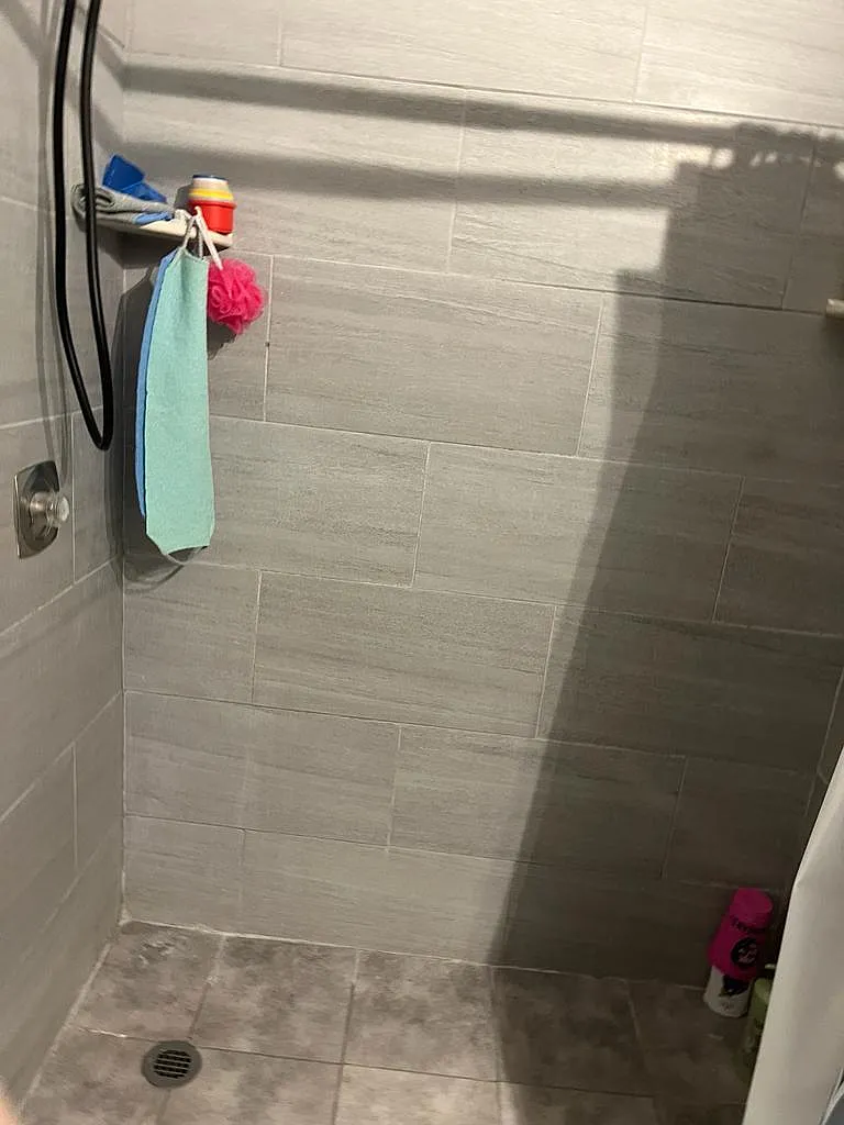 1 bed, $1,000 — Photo 3