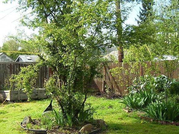 Backyard shows signs of Spring