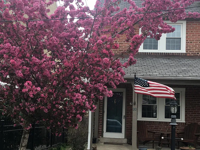 20 E Abington Ave — Photo 3