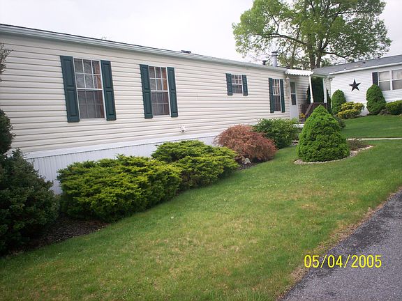 Front View / Shrubbery