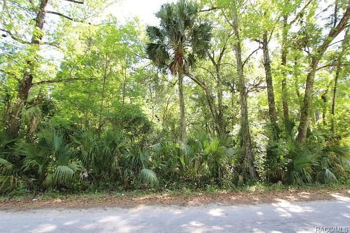 2nd image of 2467 N Junglecamp Rd