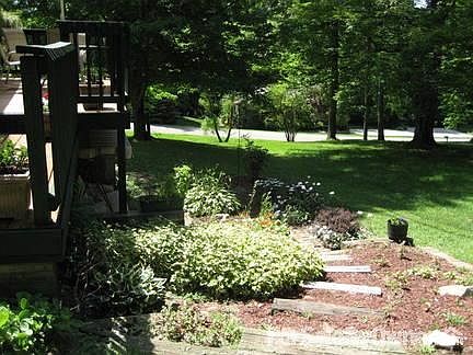 Side Yard