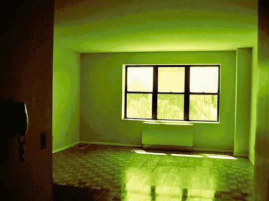 Rented by Voro New York | media 6