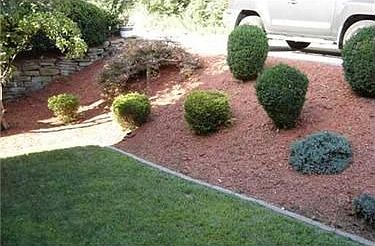 2nd image of 431 Lawnwood Ave