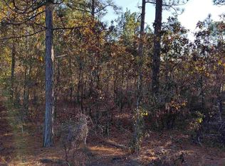 127 Stone St, Pelion, SC 29123