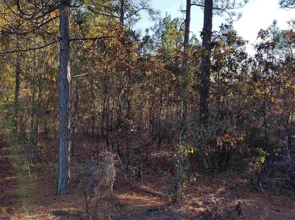 127 Stone St, Pelion, SC 29123