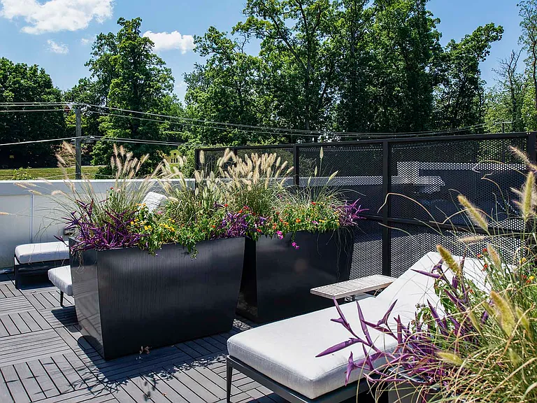 Lay out under the sun on the rooftop deck