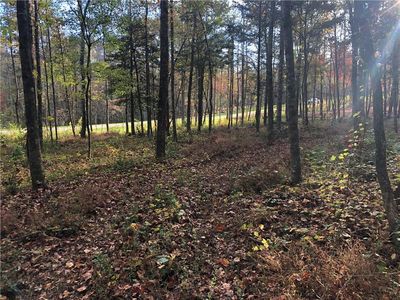 7 Sunset Cv, Ellijay, GA, 30540