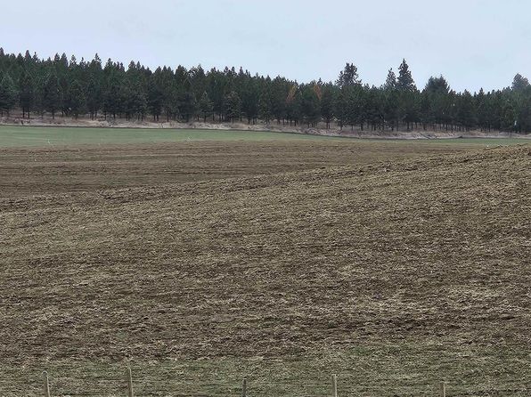 Gifford Reubens Rd, Culdesac, ID 83524