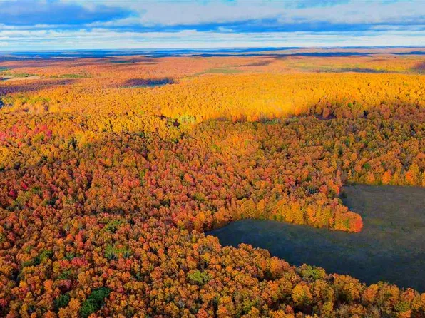 Harmon Rd, Petoskey, MI 49770
