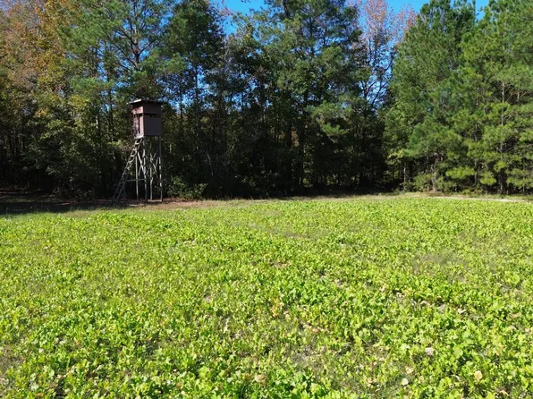 0 Us Highway 521, Salters, SC 29590