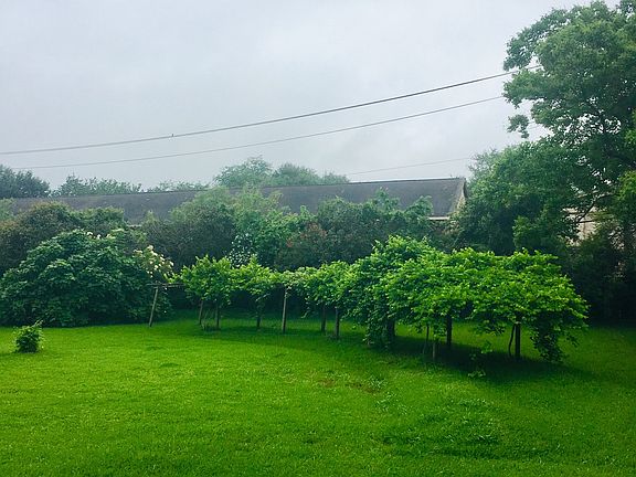 Gorgeous large backyard!